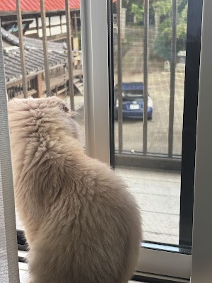 昨日より今日。今日より明日。