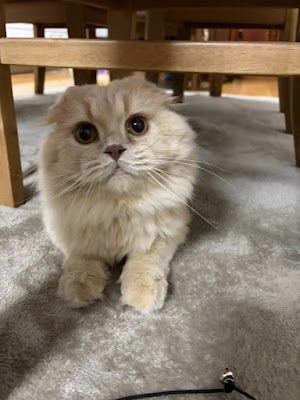 今日の思ひ